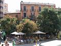 Palma 10